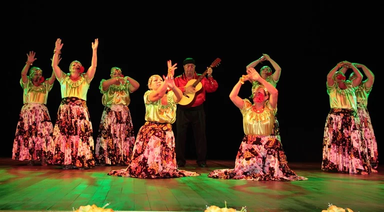 Festival de dança da terceira idade